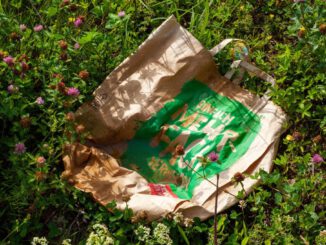 Offenbach ruft zu zweitägigem Frühjahrsputz auf und sucht Freiwillige