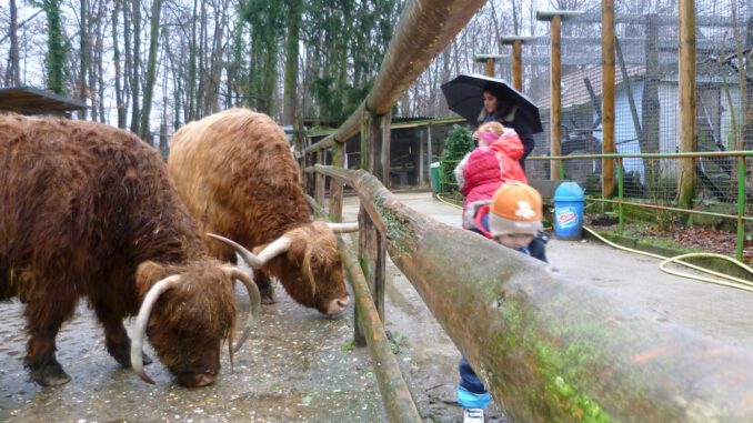 Offenbach will Ausbau des Waldzoos vorantreiben und Finanzierung bis 2035 sichern