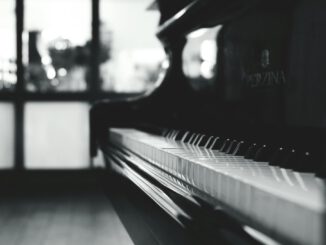 Offenbacher Klaviernachmittag LiteraTöne verbindet Lieder und Literatur im Büsingpalais